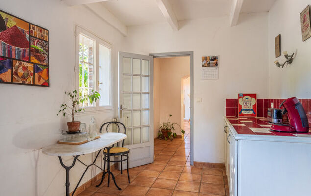 Palmeraie - Photo 10