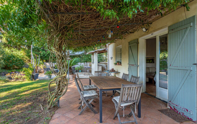 Palmeraie - Photo 17