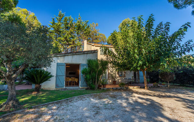 Palmeraie - Photo 18