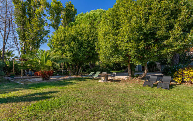 Palmeraie - Photo 25