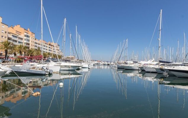 Palmeraie - Photo 27