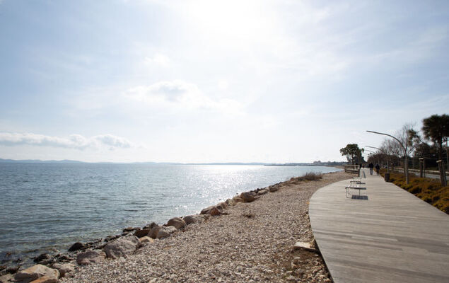 Palmeraie - Photo 29