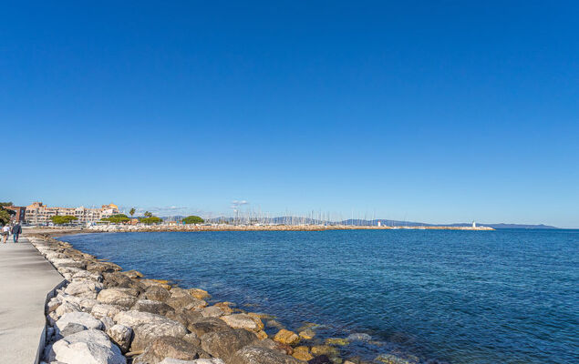 Palmeraie - Photo 34