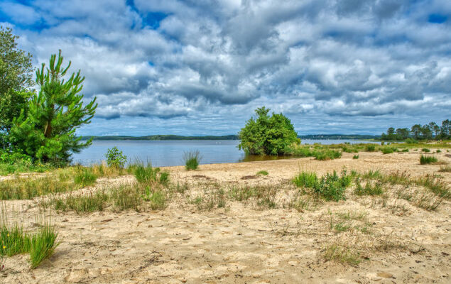 Les Cracks - Les As - Photo 22