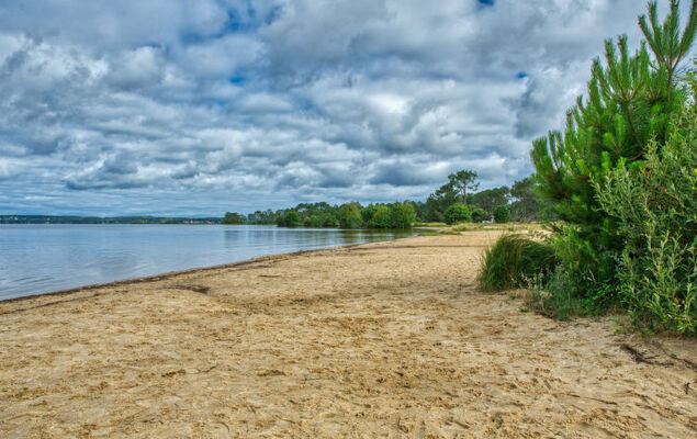 Les Cracks - Les As - Photo 23