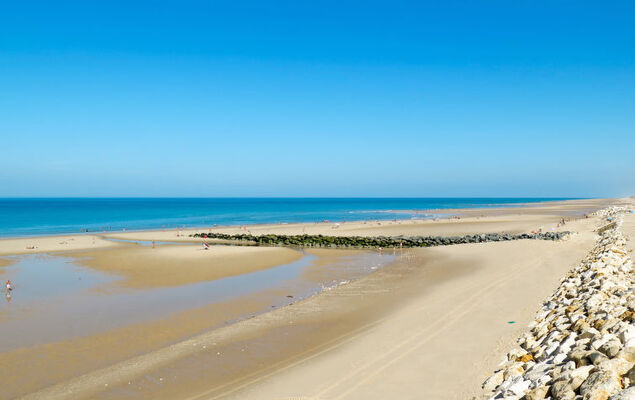 Les Cracks - Les As - Photo 27