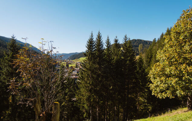 Bischofsmütze - Photo 13