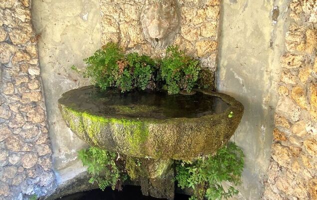 Villa Grassina - Photo 33