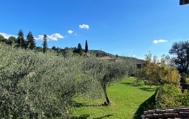 Villa Grassina - Photo 42