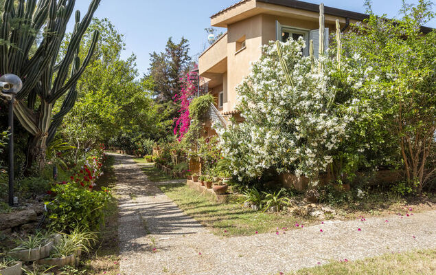 Cicladi Naxos - Photo 21