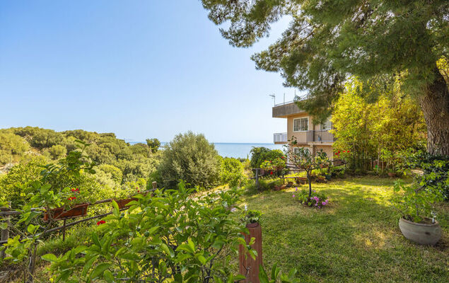 Cicladi Naxos - Photo 30